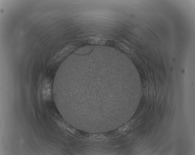 X0000062671154200512230939