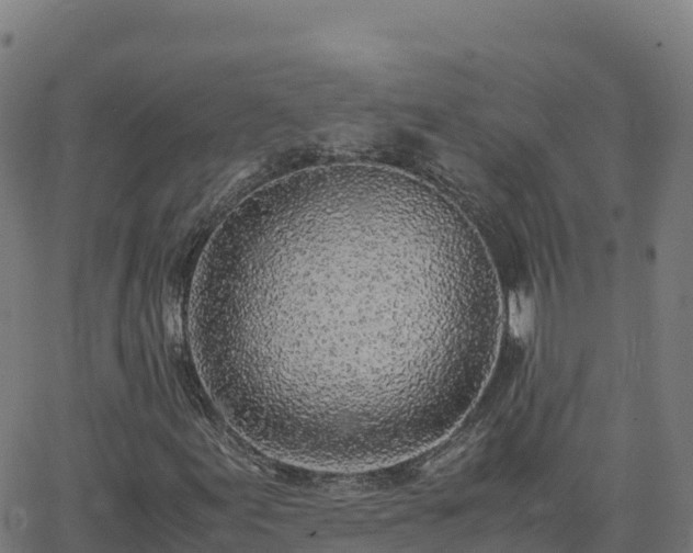 X0000062671155200512230939