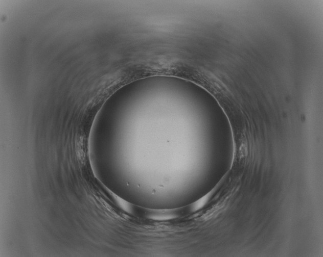 X0000062671156200512230939