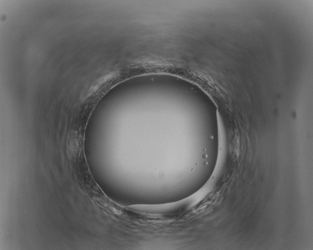 X0000062671157200512230939