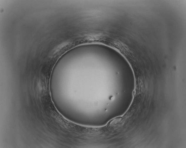 X0000062671158200512230939