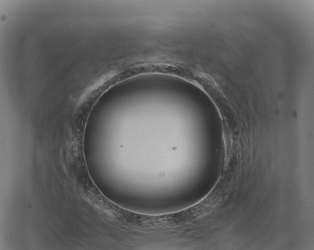 X0000062671159200512230939