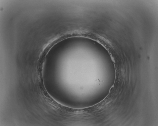 X0000062671160200512230939