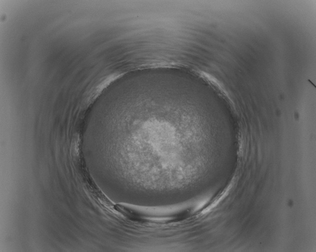 X0000062671161200512230939