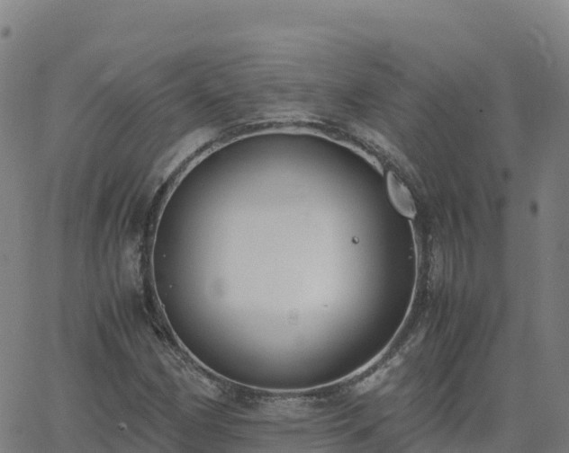 X0000062671162200512230939