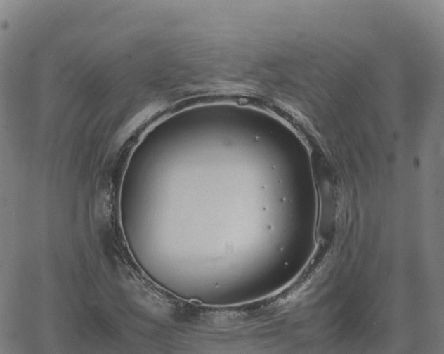 X0000062671163200512230939