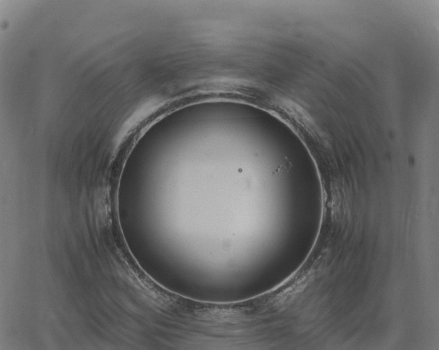 X0000062671164200512230939