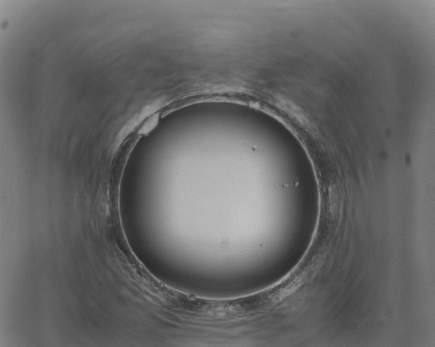 X0000062671165200512230939