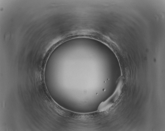 X0000062671166200512230939