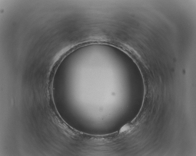 X0000062671168200512230939