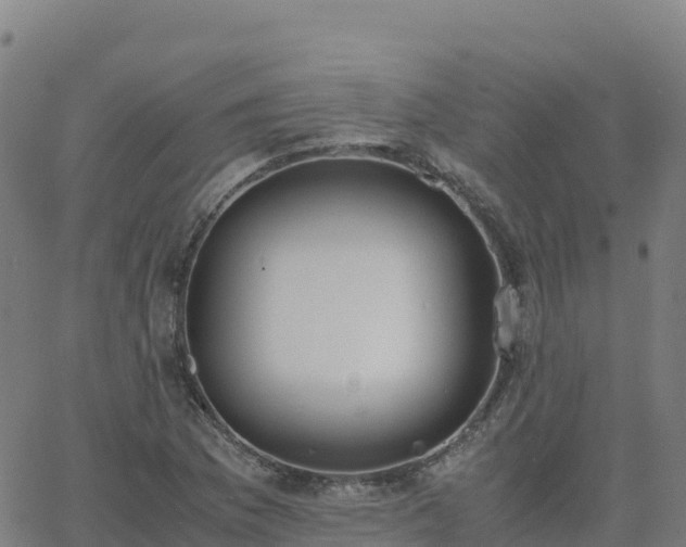 X0000062671169200512230939