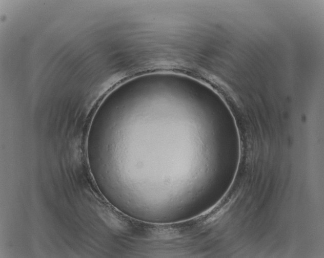 X0000062671170200512230939