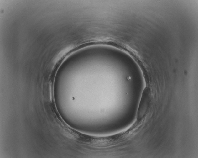 X0000062671171200512230939