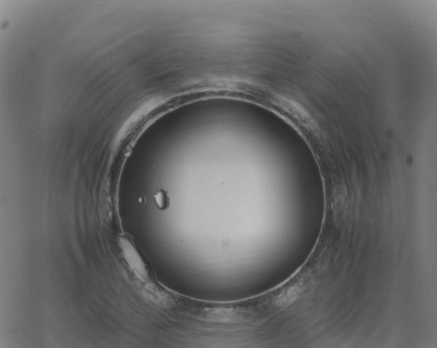 X0000062671172200512230939