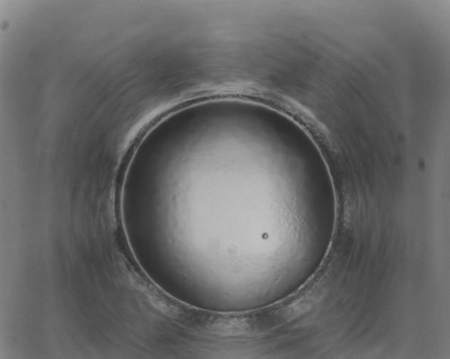 X0000062671174200512230939