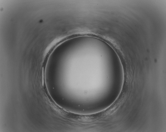 X0000062671175200512230939