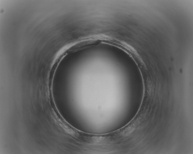 X0000062671176200512230939