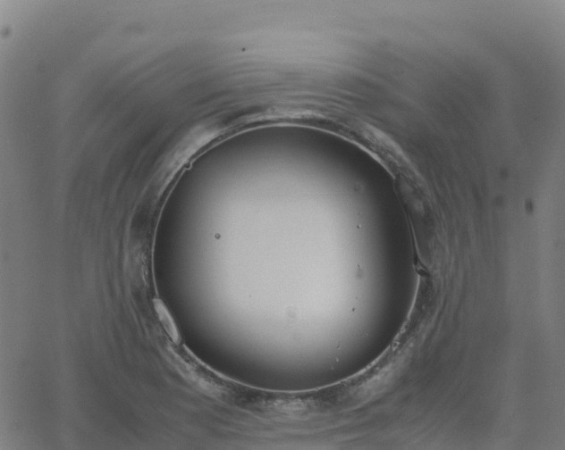 X0000062671177200512230939