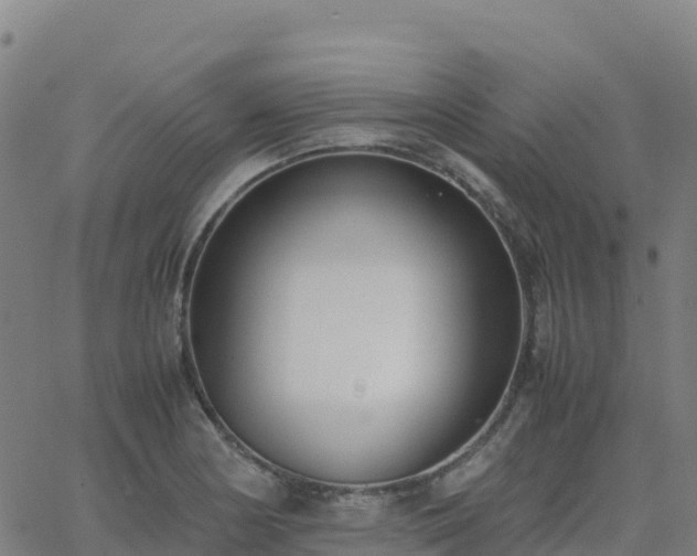 X0000062671178200512230939