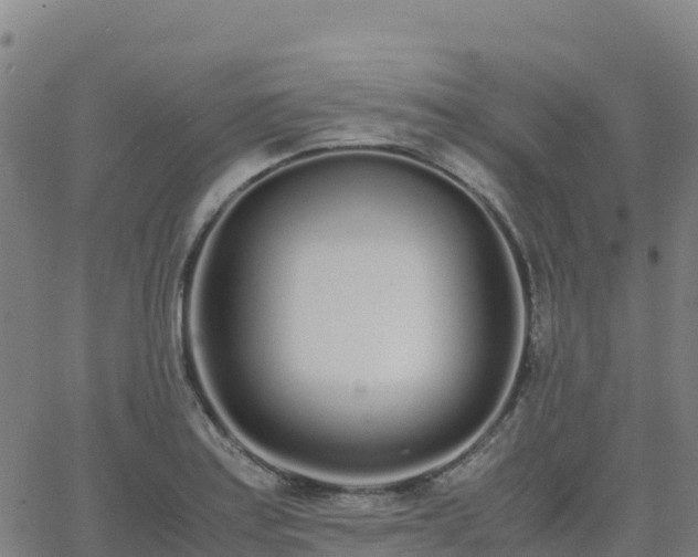 X0000062671179200512230939