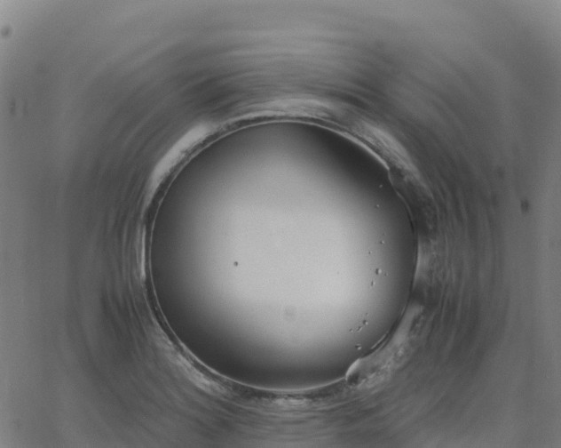 X0000062671180200512230939