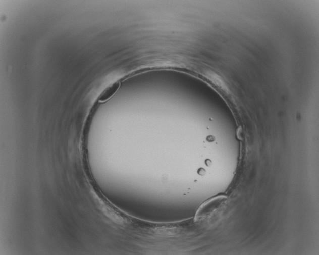 X0000062671181200512230939