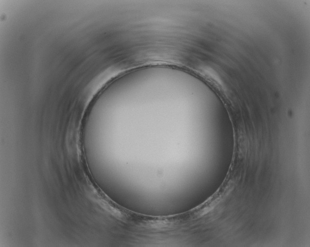 X0000062671182200512230939