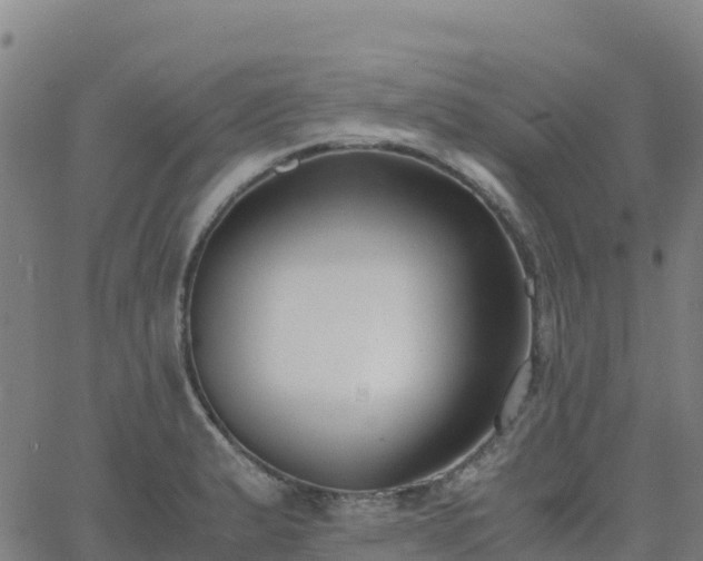 X0000062671183200512230939