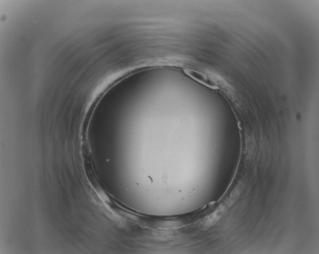 X0000062671184200512230939