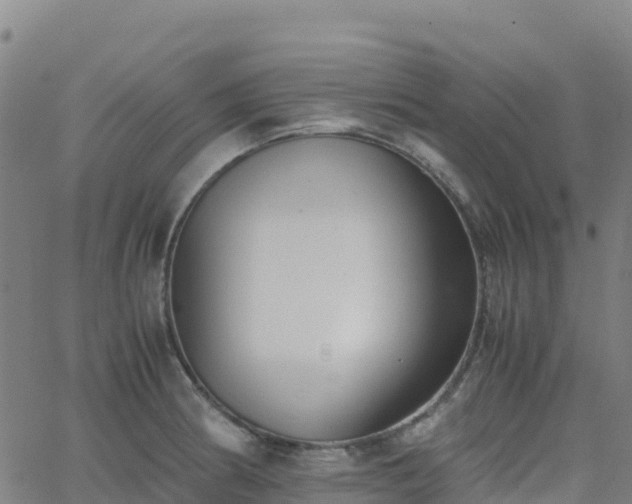 X0000062671186200512230939