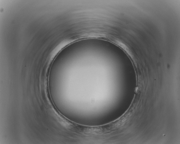 X0000062671187200512230939