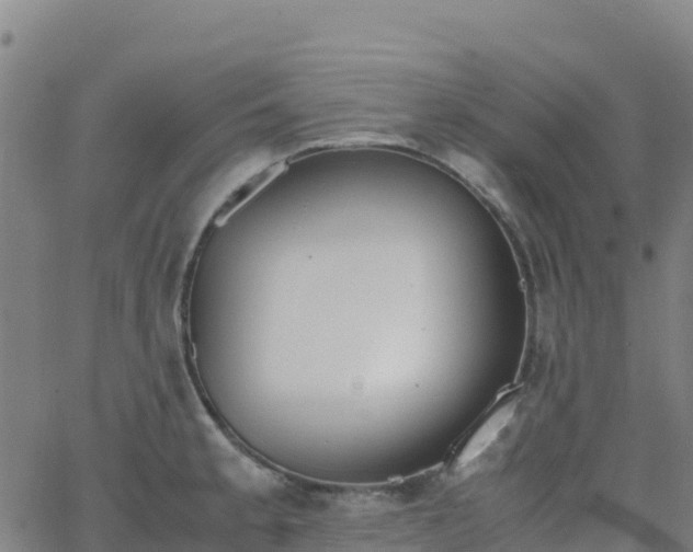 X0000062671189200512230939