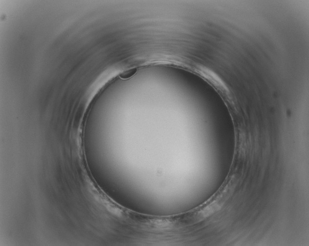 X0000062671190200512230939