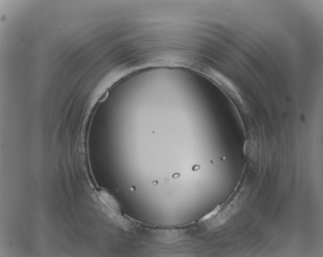 X0000062671192200512230939