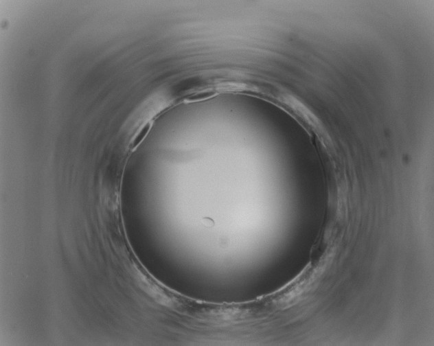 X0000062671193200512230939