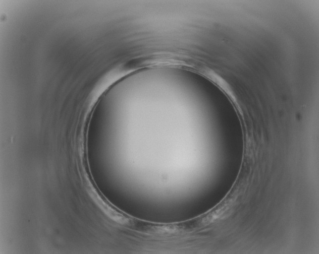 X0000062671195200512230939