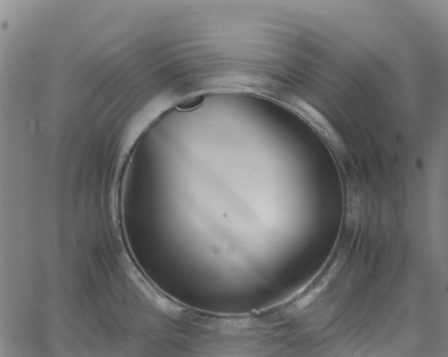 X0000062671196200512230939