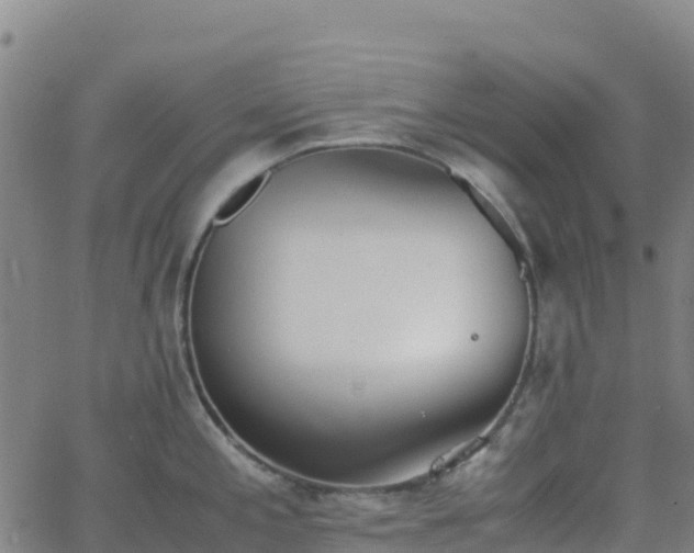 X0000062671197200512230939