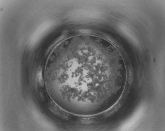 X0000062671198200512230939