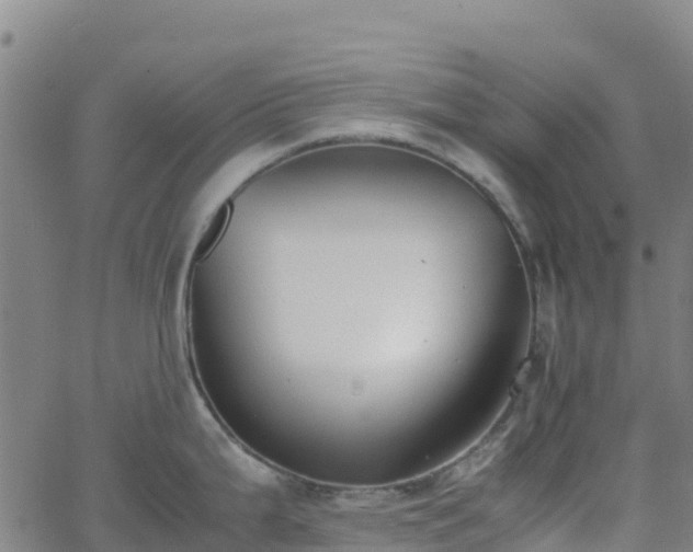 X0000062671199200512230939