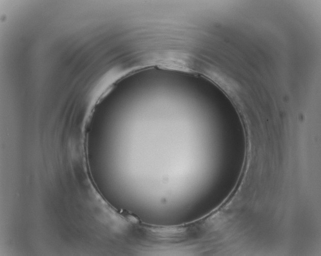 X0000062671200200512230939