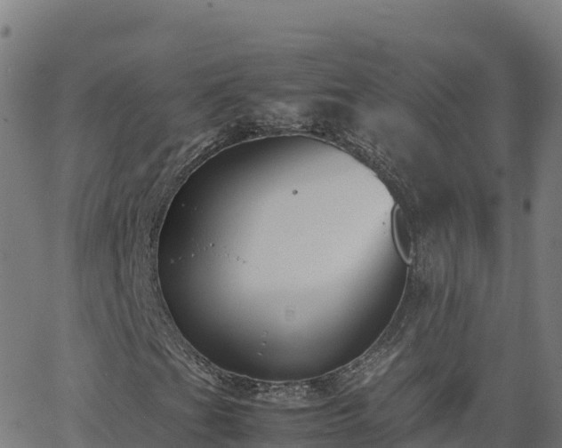 X0000062671201200512230938