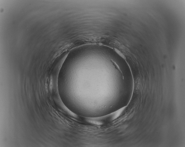 X0000062671202200512230938