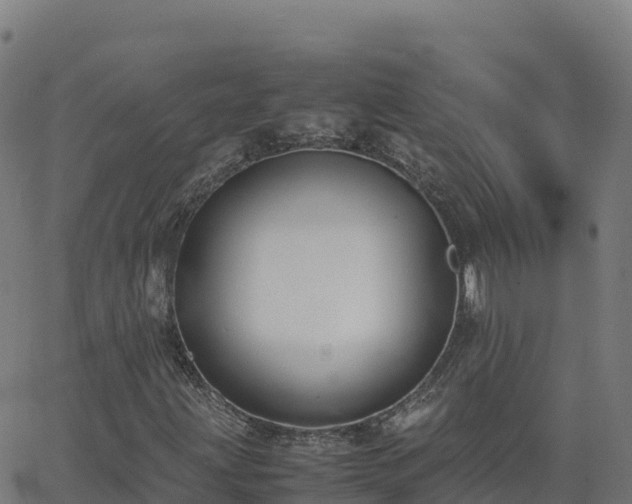 X0000062671203200512230938