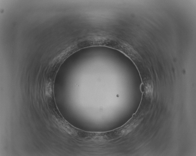 X0000062671204200512230938