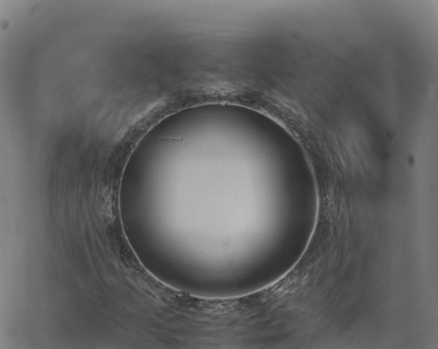 X0000062671205200512230938