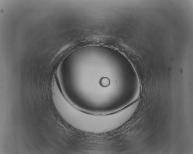 X0000062671206200512230938