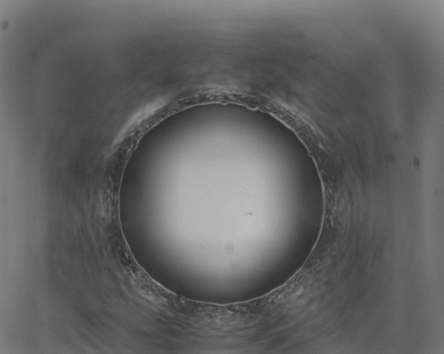 X0000062671207200512230938