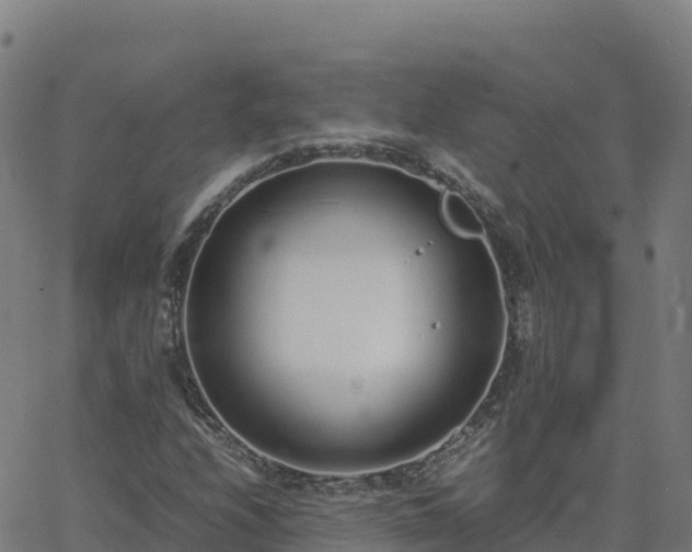 X0000062671208200512230938