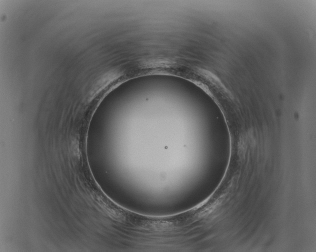 X0000062671209200512230938